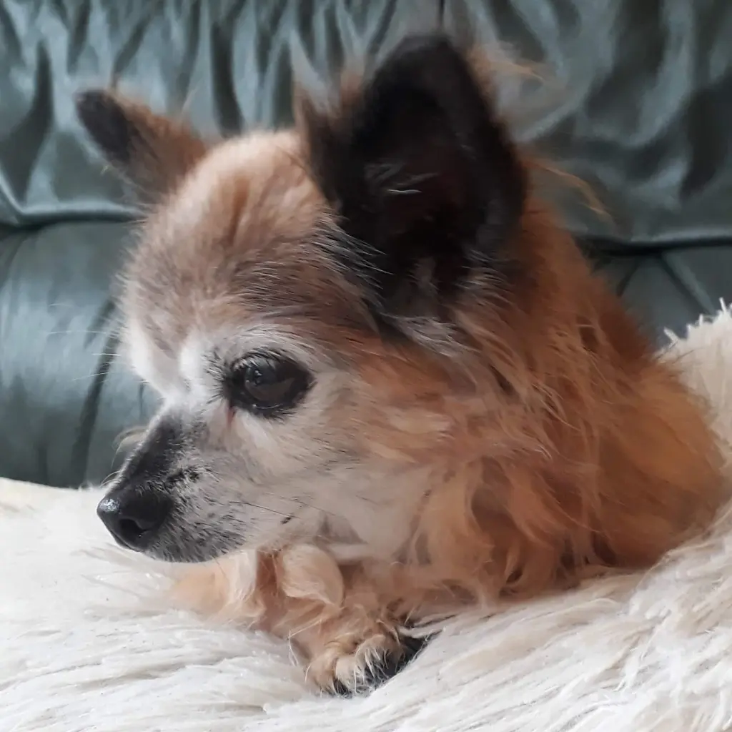 Condolence image of ❤️  ❤️ ❤️ 