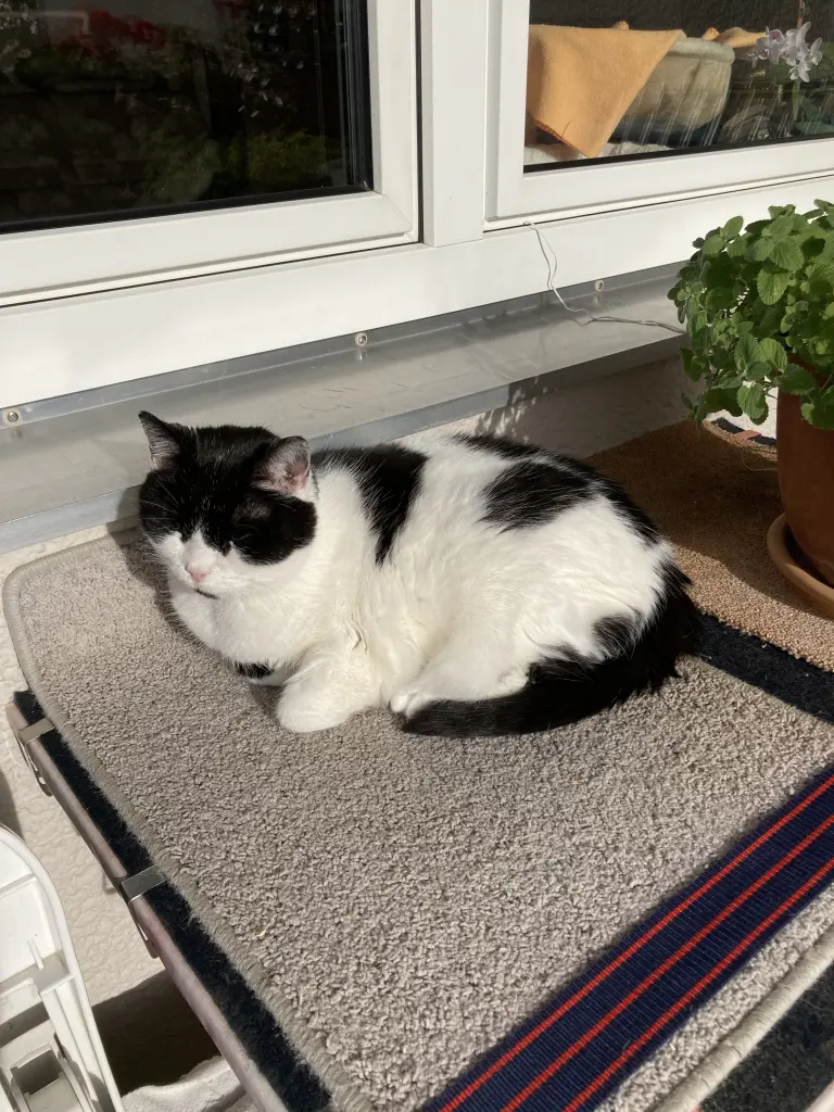 Condolence image of Ursula