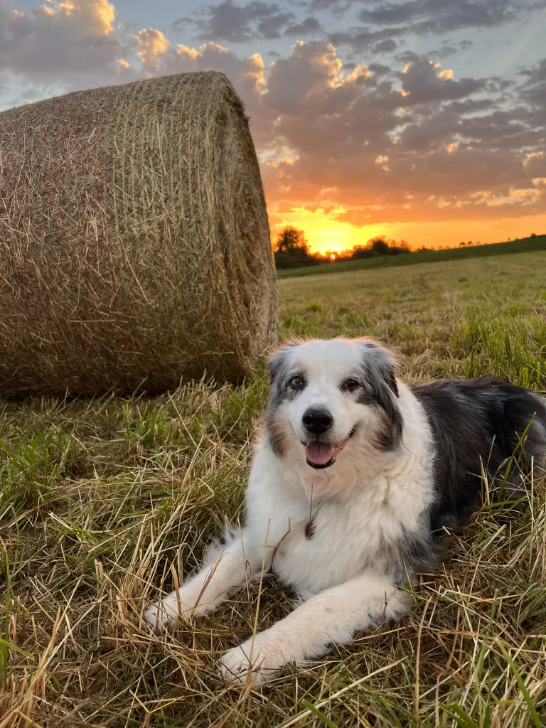 Condolence image of Andi