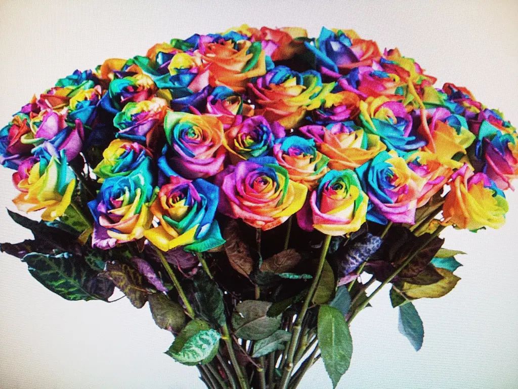 Condolence image of Manuela mit Seelenhund Flick