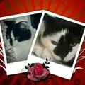 Condolence image of Annemarie und Elke mit Snoopy im Herzen gest.04.01.2022