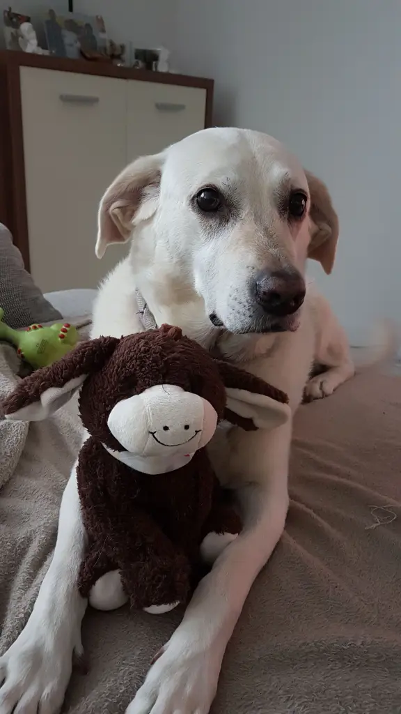 Condolence image of Jessy mit Lea im Herzen ❤️