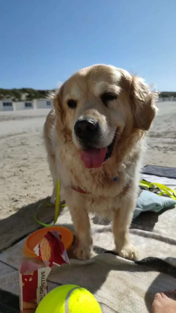 Condolence image of Steffi Gerth