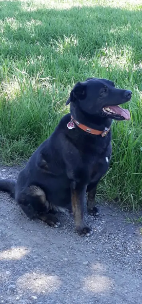 Condolence image of Sonja