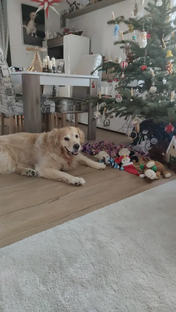 Condolence image of Steffi