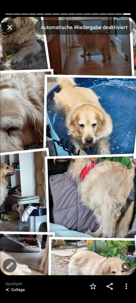 Condolence image of Steffi