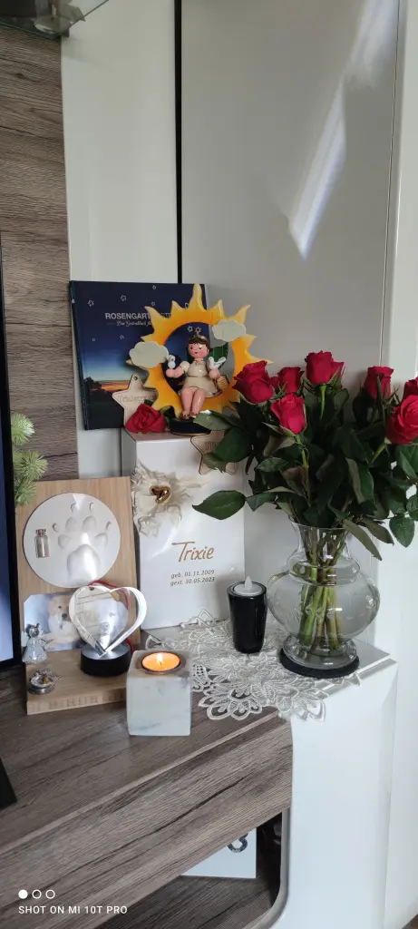 Condolence image of Steffi