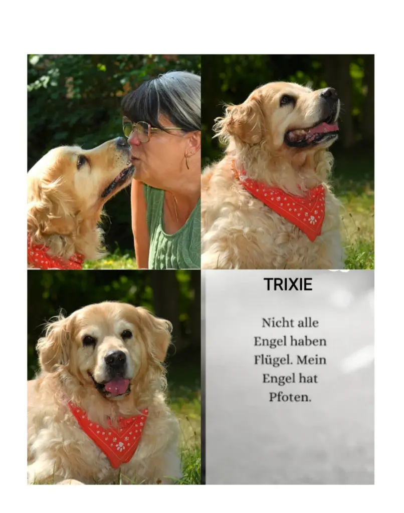 Condolence image of Steffi