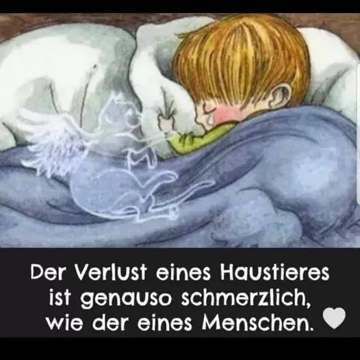 Condolence image of Lydia mit SternchenTommy und Balu 