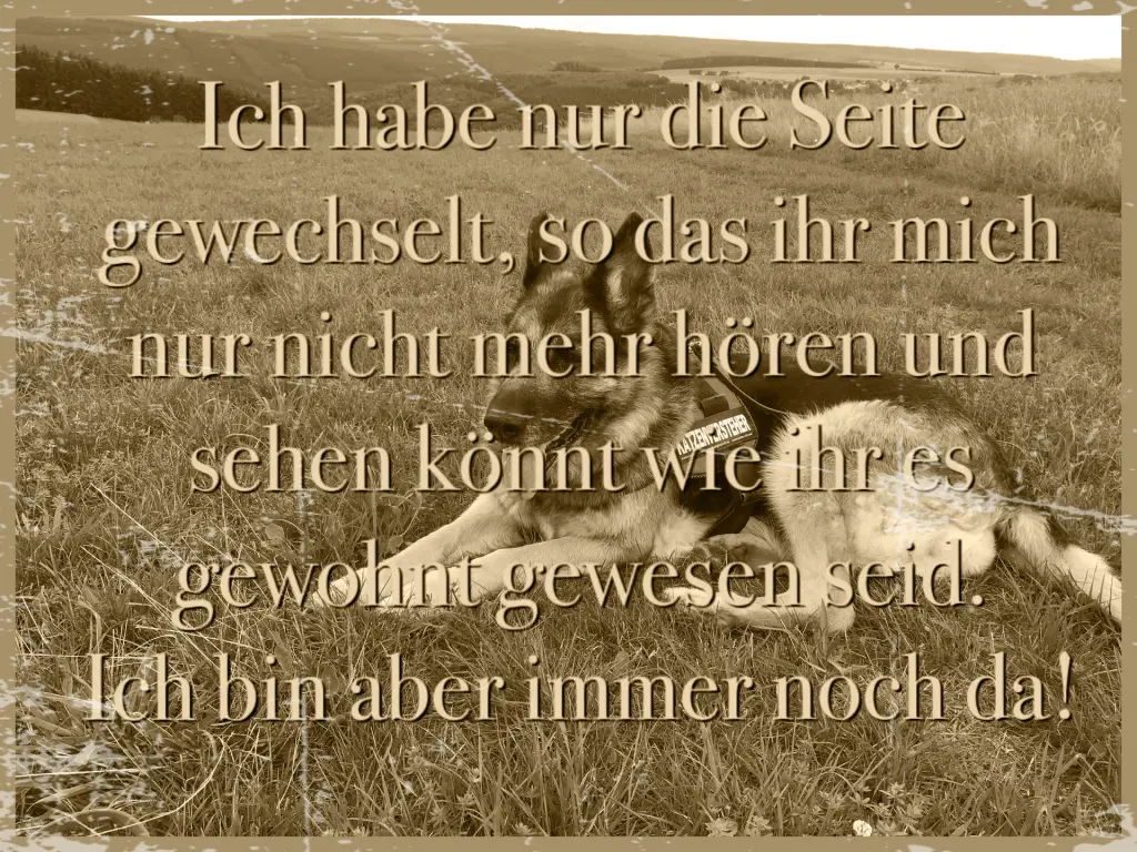 Condolence image of Lydia mit SternchenTommy und Balu