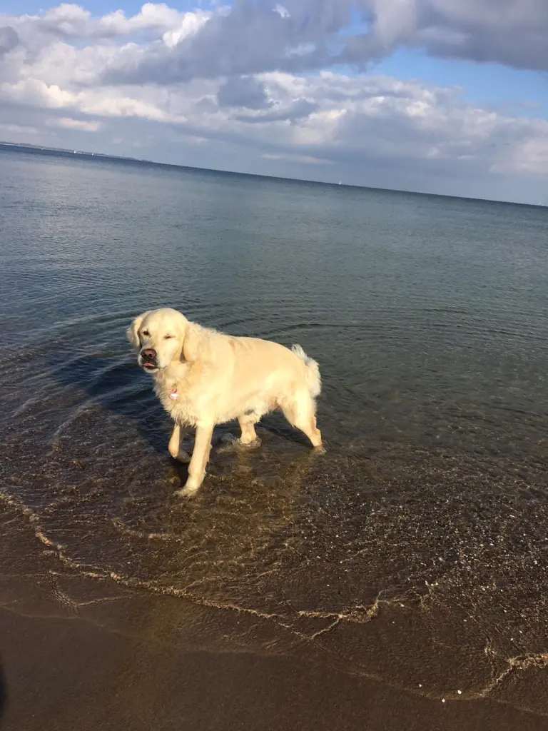 Condolence image of Andy und Piet