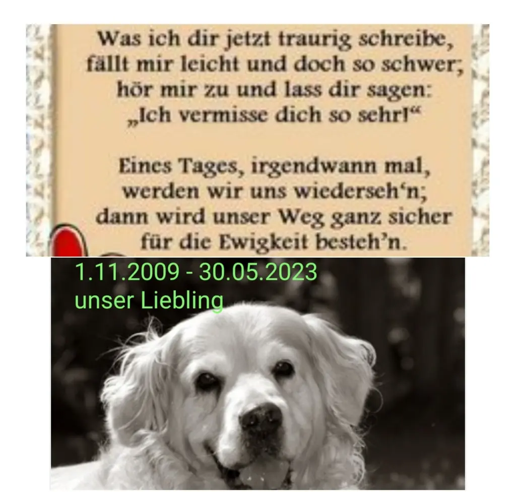 Condolence image of Steffi