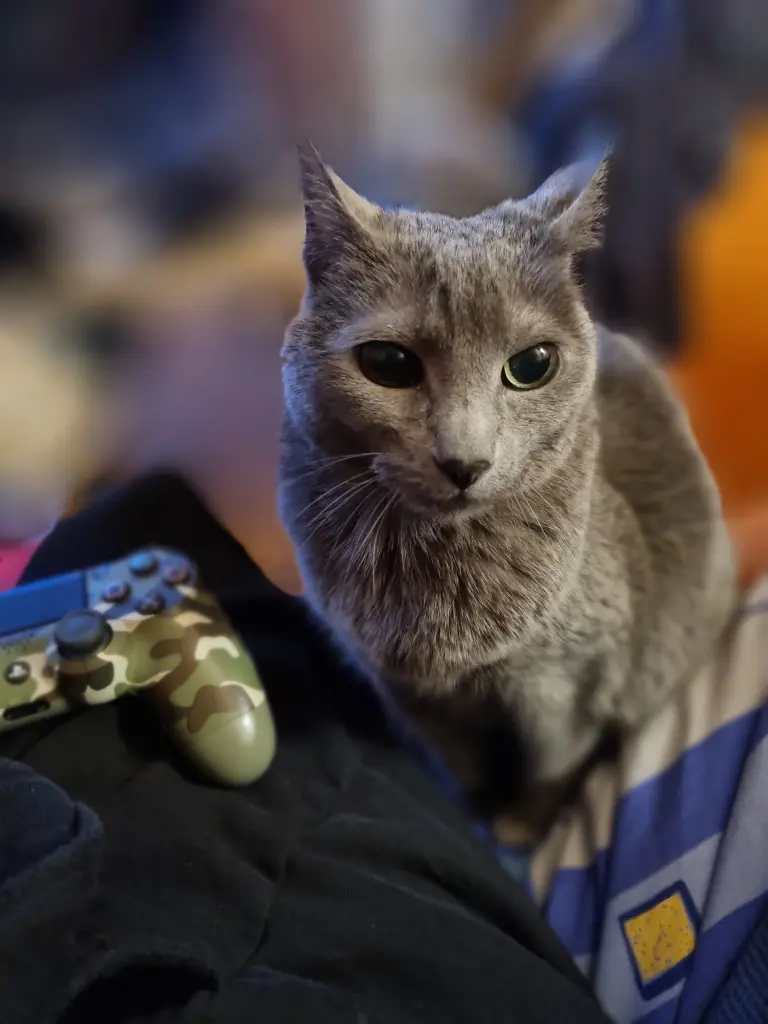 Condolence image of Carmen