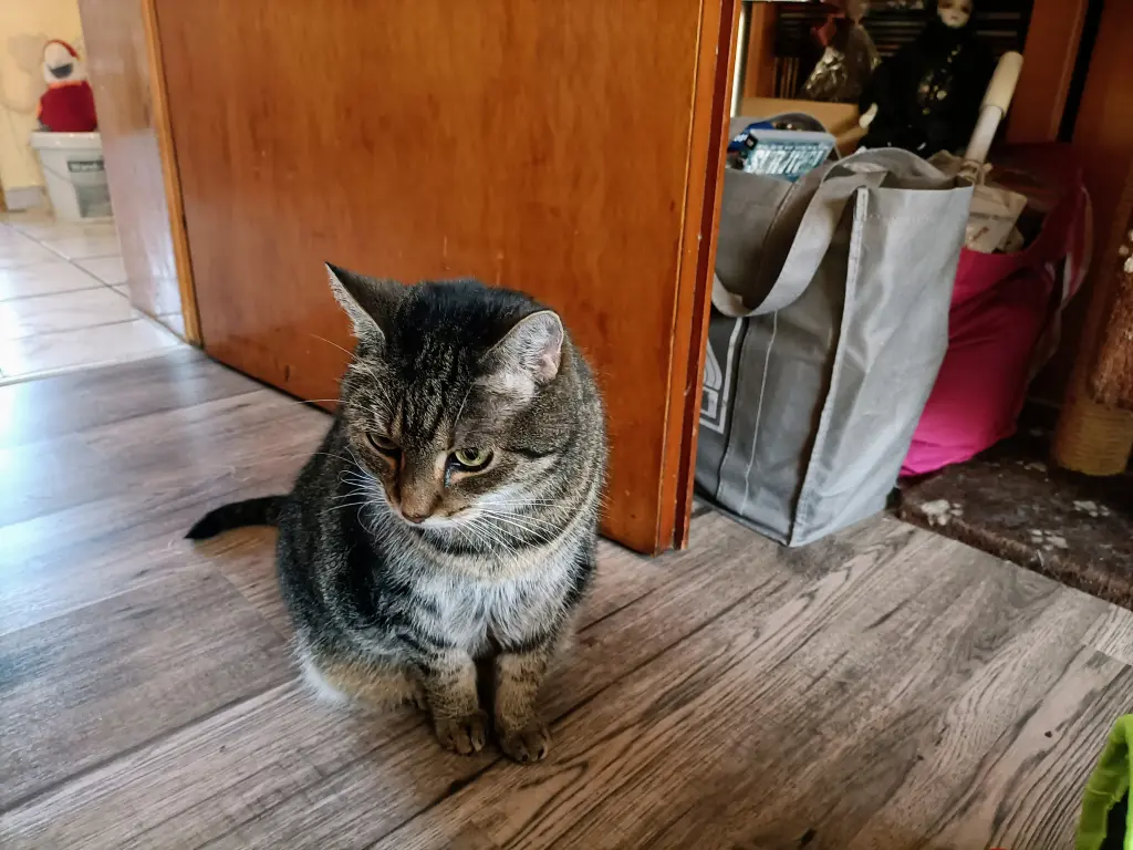 Condolence image of Dorothea + Michael