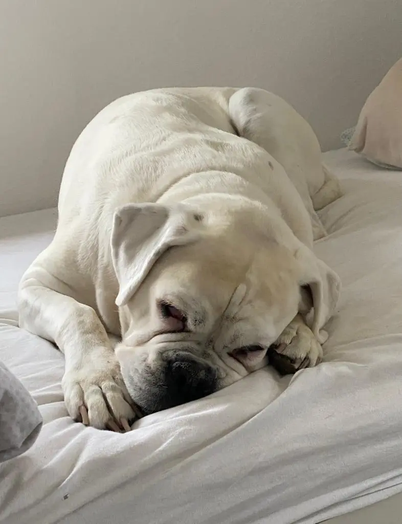 Image from Clärchen