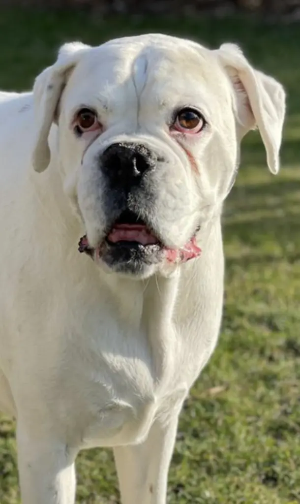 Image from Clärchen