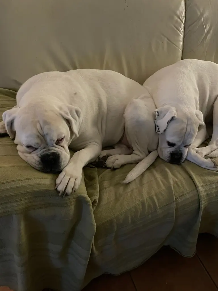 Image from Clärchen