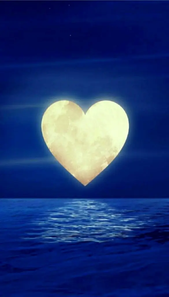 Condolence image of Anke 