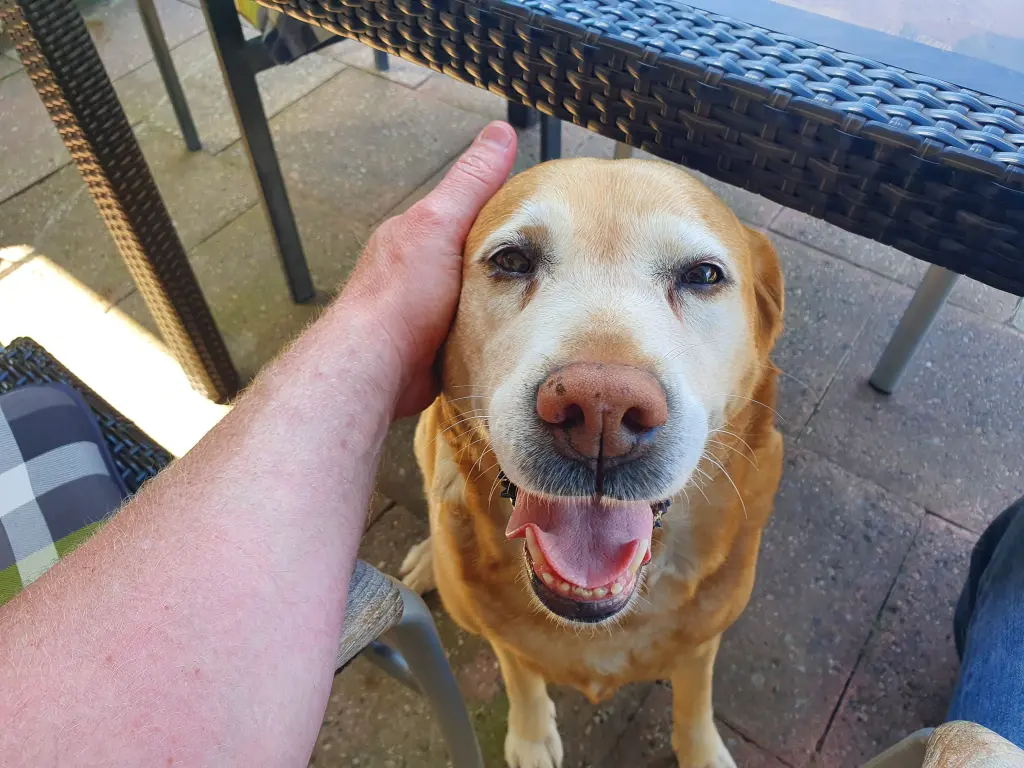 Condolence image of Holger 