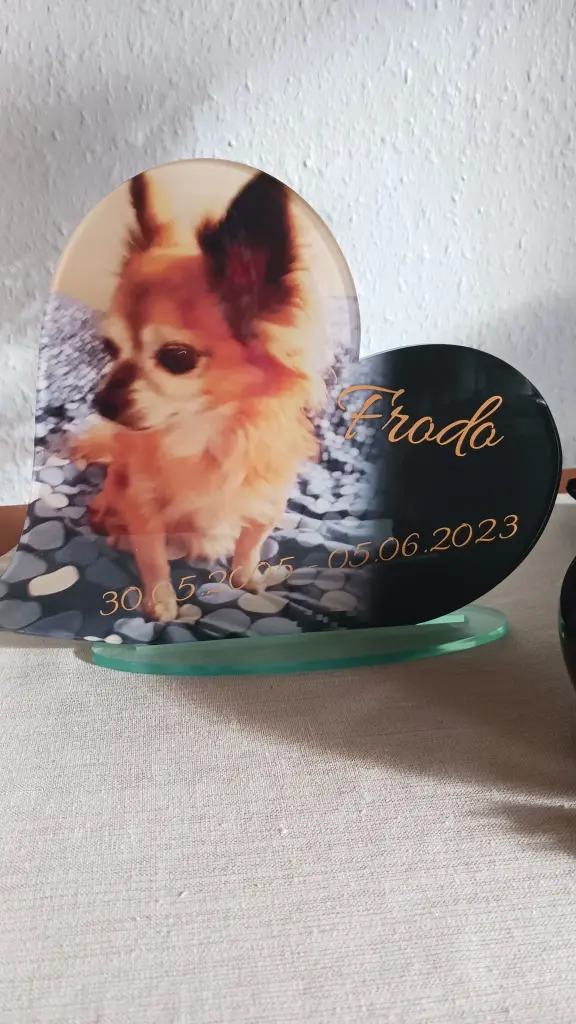 Condolence image of Angelika mit Frodo 