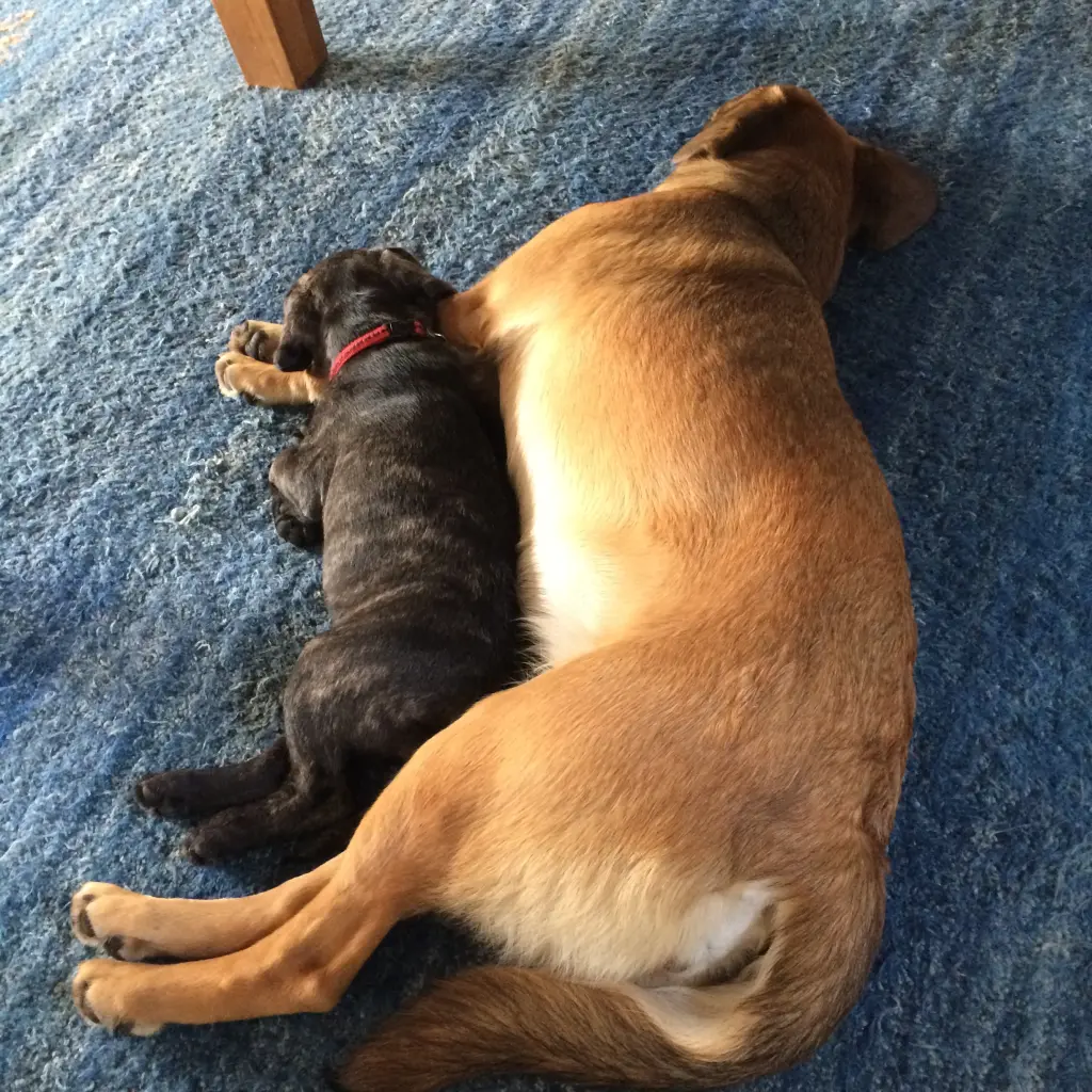 Condolence image of Friedhelm Schmied