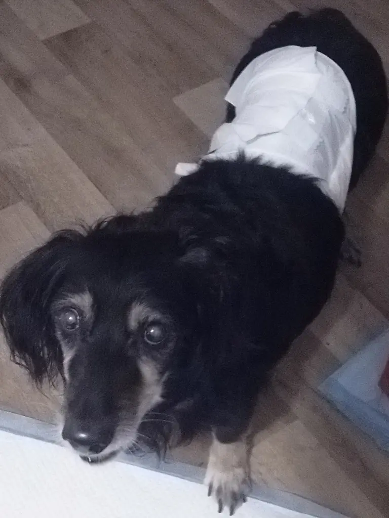 Condolence image of Claudia und Herakles 