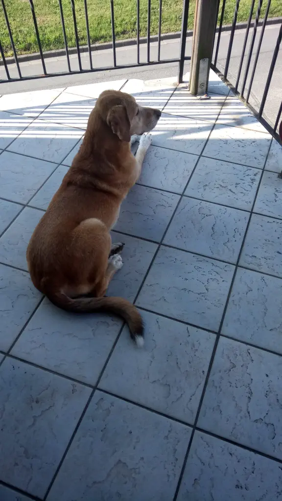 Condolence image of Erika und Valentina 