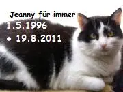 Bild von Jeanny