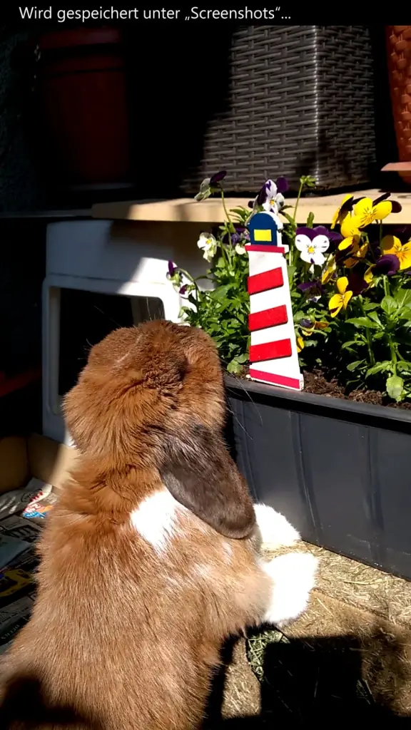 Condolence image of Andrea mit Schnuffi tief im ❤ 