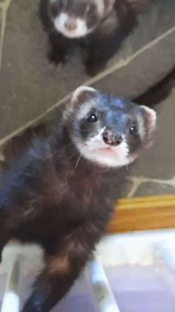 Condolence image of Unbekannt