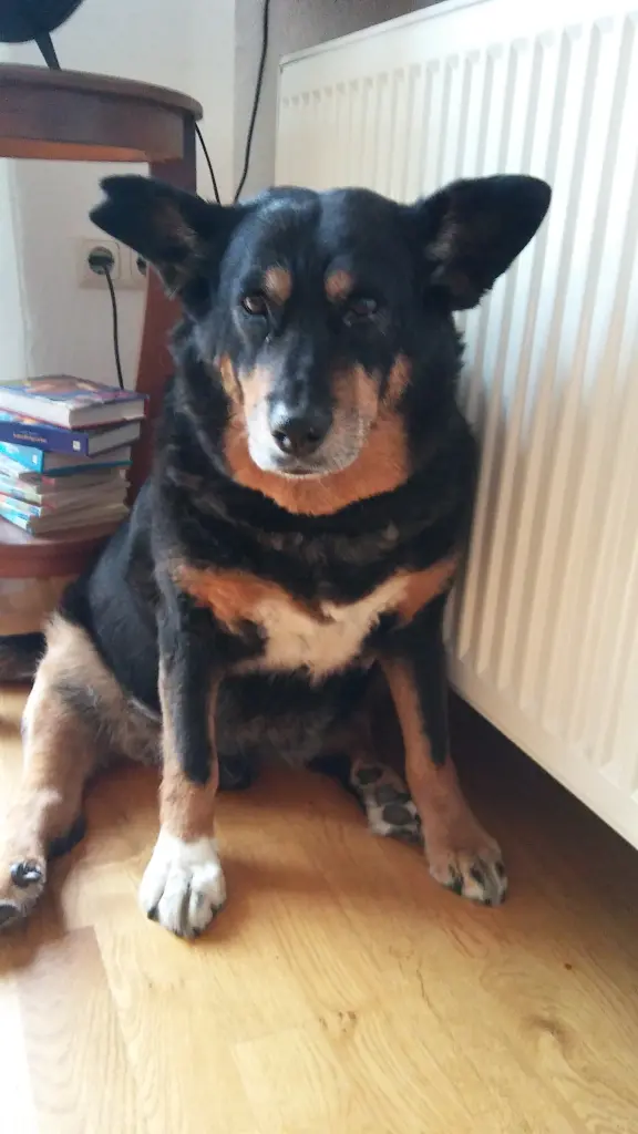 Condolence image of Birgit