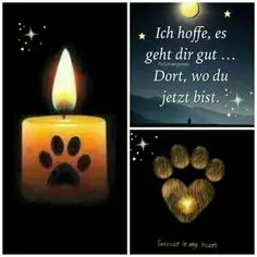 Condolence image of Claudia/ASKO ❤