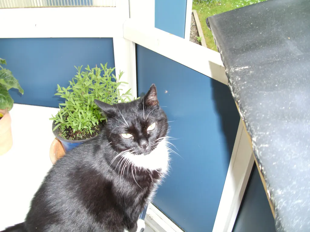 Condolence image of Jeanne - Marie