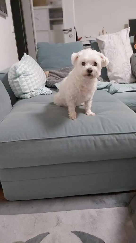 Condolence image of Lili-Marleen  Und Mailo ♥️