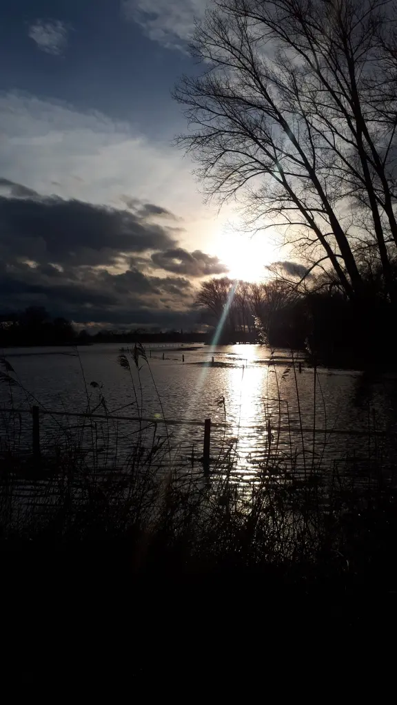 Condolence image of Melina Maaß