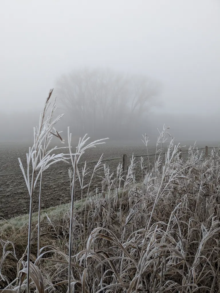 Condolence image of Melina Maaß