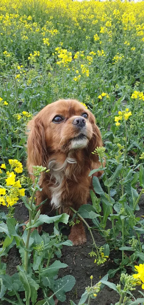 Image from Easy ♂️