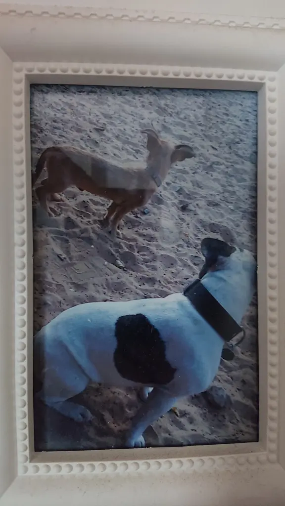 Condolence image of Ingmar