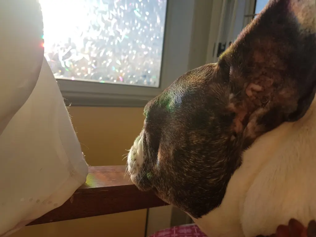 Condolence image of Ingmar