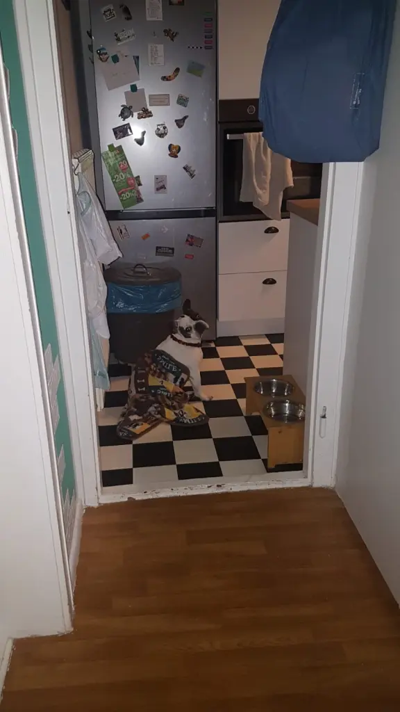 Condolence image of Ingmar