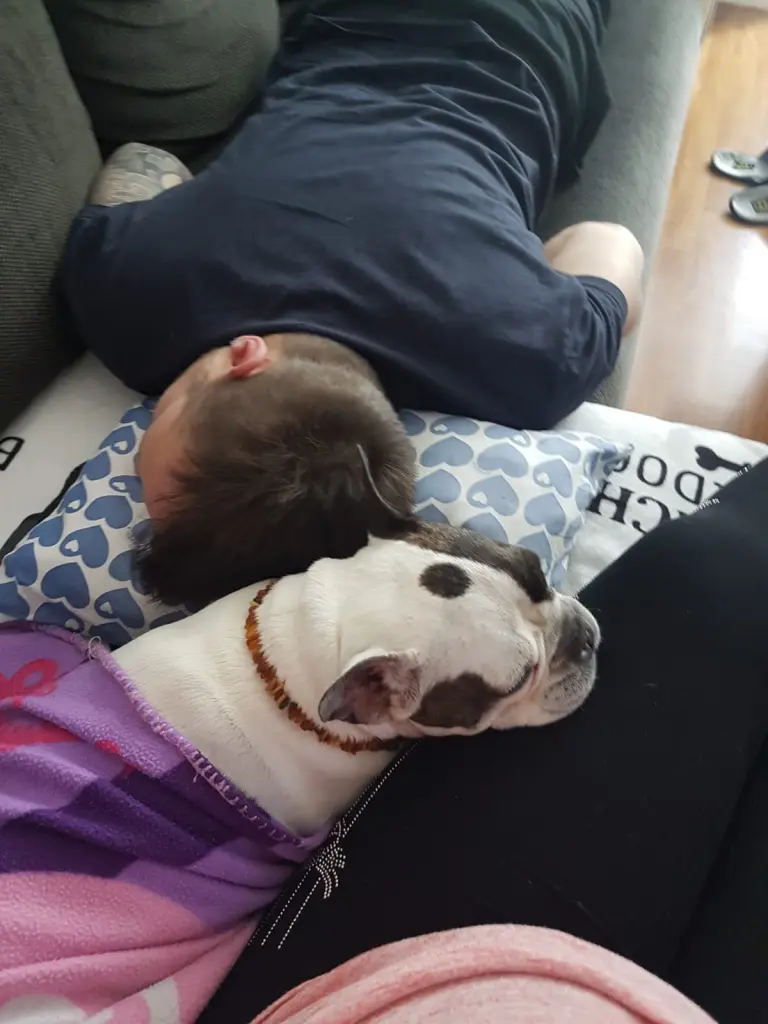 Condolence image of Papa & Mama