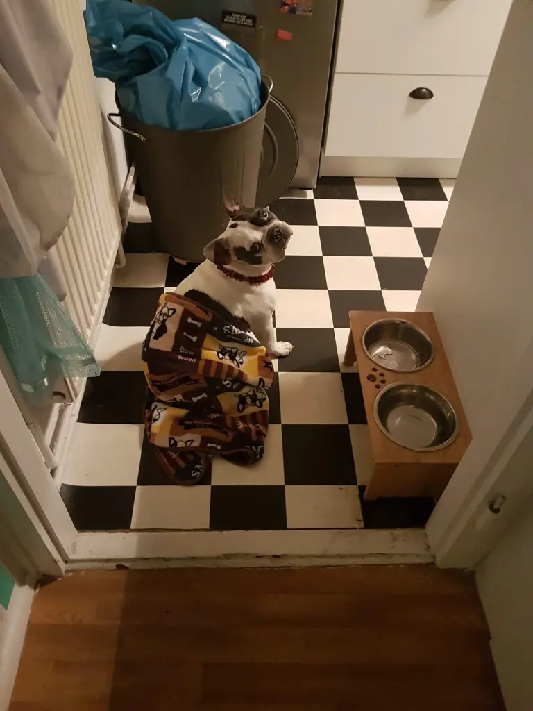 Condolence image of Mama & Papa