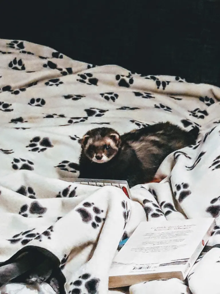 Condolence image of Unbekannt