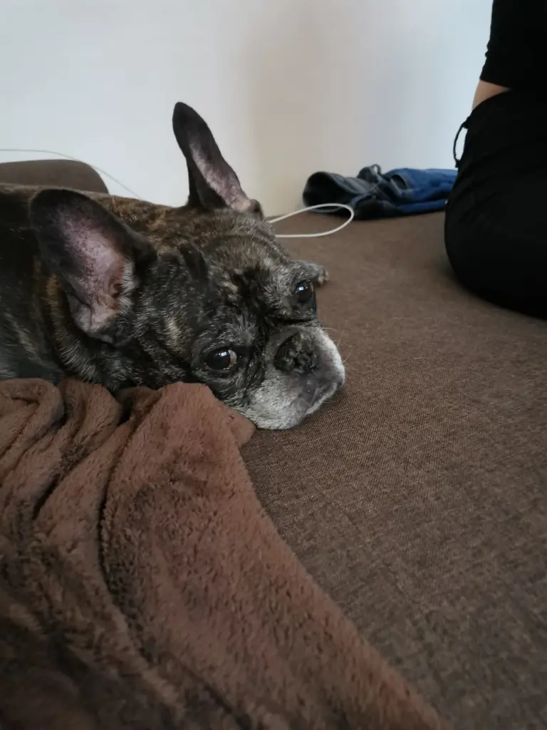 Andachtsbild von Karin mit Bella ganz tief im Herzen