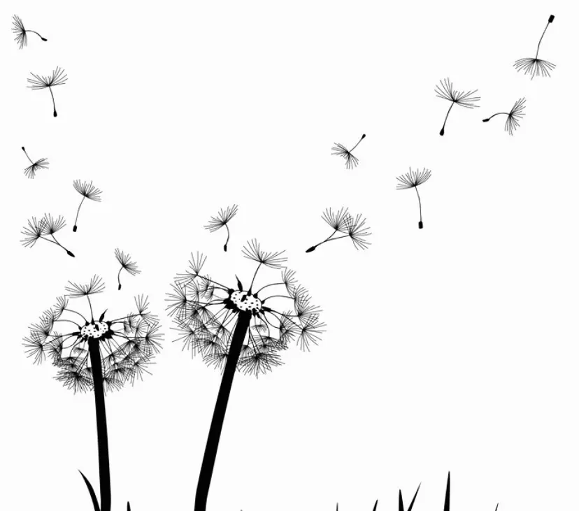 Andachtsbild von Kerstin mit Linus im ❤️