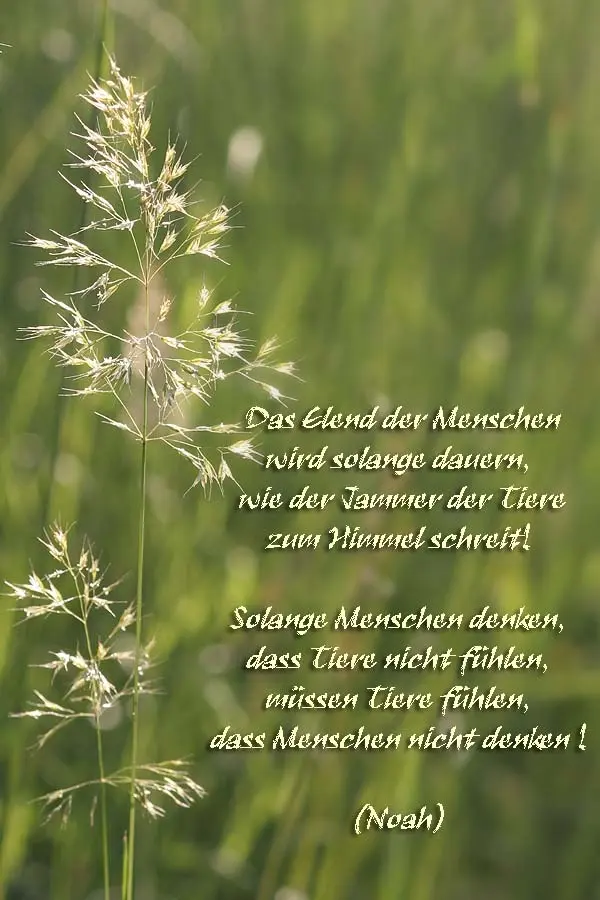 Andachtsbild von Karina und Jörg mit Floyd im ❤