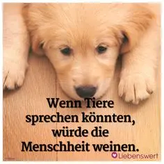 Andachtsbild von Claudia/ASKO ❤ 