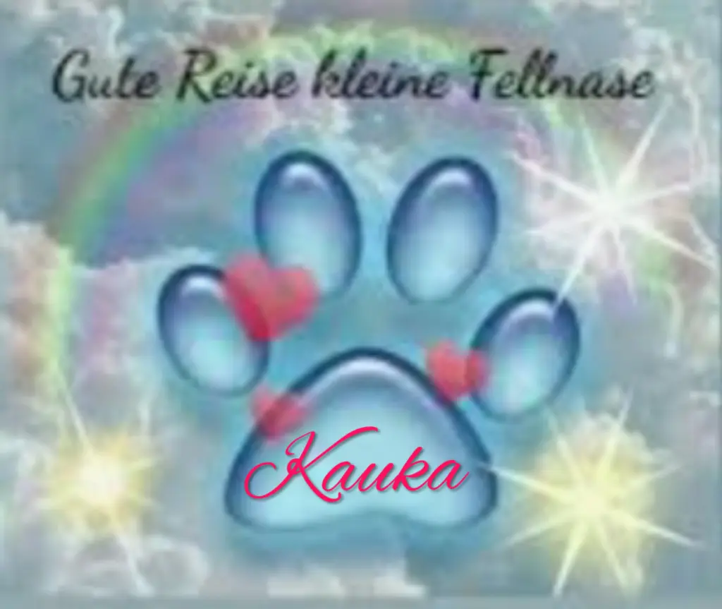 Andachtsbild von ❤