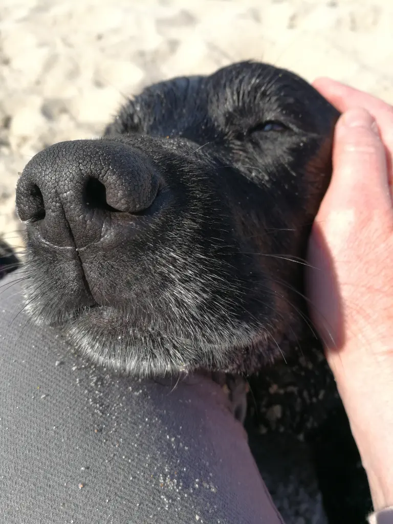 Andachtsbild von Kerstin mit Emma im Herzen ❤ 