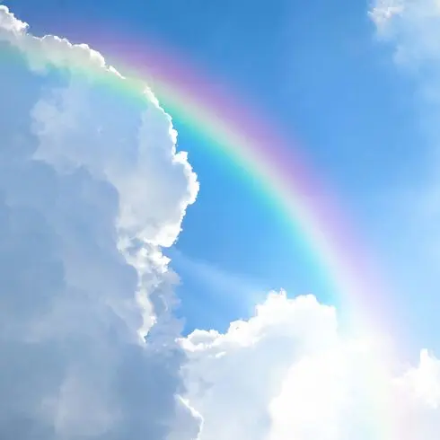 Andachtsbild von Hans u. Sibylle mit Momo † 13.11.2017